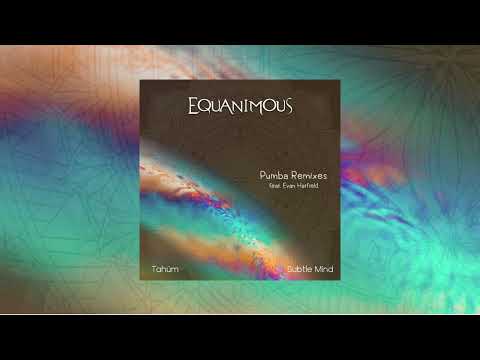 Equanimous feat. Evan Hatfield - Pumba (Subtle Mind Remix)