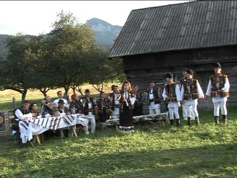 Nicoleta Hafiuc  - Badisor din Sadova