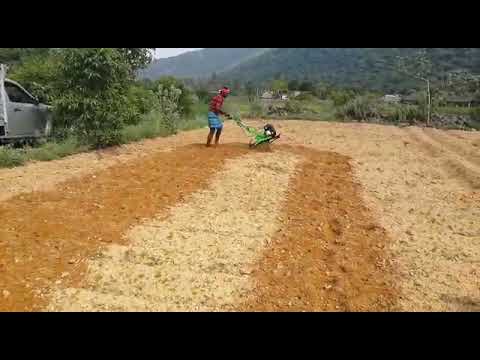 PETROL WEEDER XYLEM SS 203