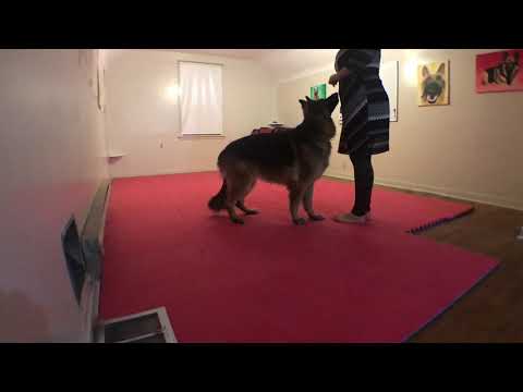 2018 1205 Eye Contact