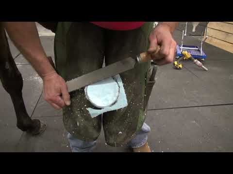 Slide 9 - Vettec Equi-Pak Clear 210cc  (video)