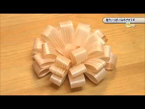 2021年10月9日(土)放送 「魅力いっぱい！みやざきスギ」