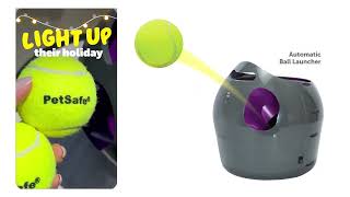 PetSafe Gifts That Sparkle for Every Pet