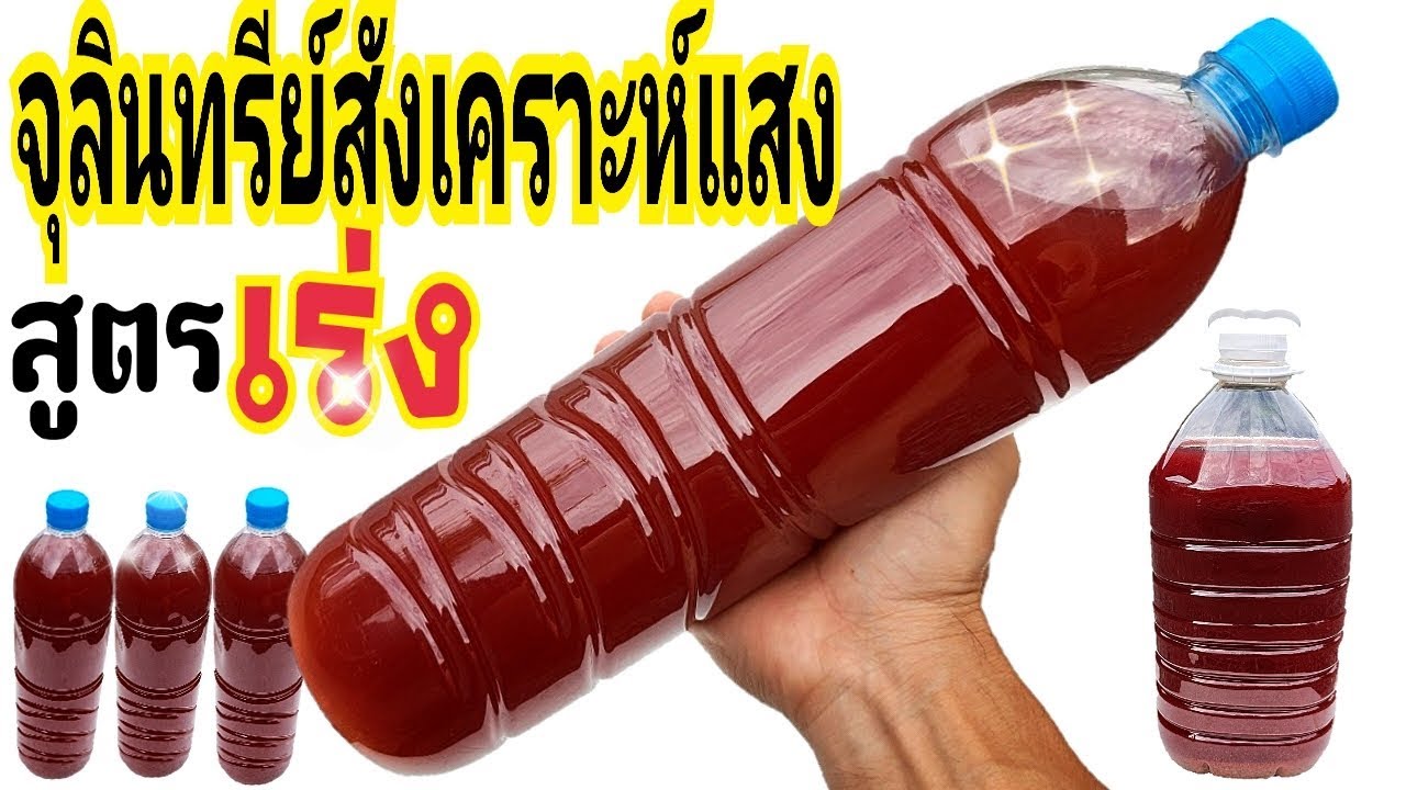 สรุปวิธีทำจุลินทรีย์สังเคราะห์แสง (PSB) แบบไร้หัวเชื้อ สูตรเร่งโต เพิ่มผลผลิต จาก ซานเต๋อ story