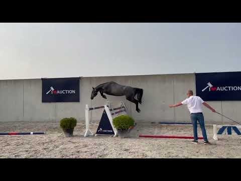 Chula de Bitho Z freejumping 