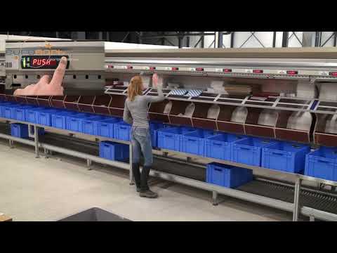Dual Split Tray (Bomb Bay) Sorter for Apparel E-Commerce
