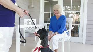 VNA Volunteer Services – Pet Therapy