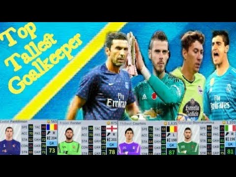 Top Class Tallest Goalkeeper ohsome in dream League Soccer | Dream GAMEplay Video