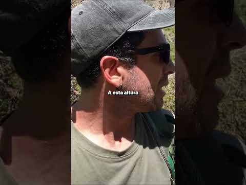 el Horco Molle? Un arbol que crece en las sierras Comechingones, Villa Elena, San Luis