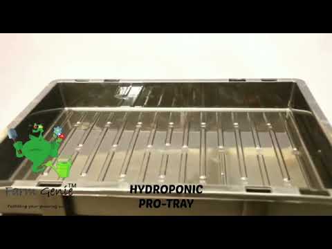 Hydroponic Tray
