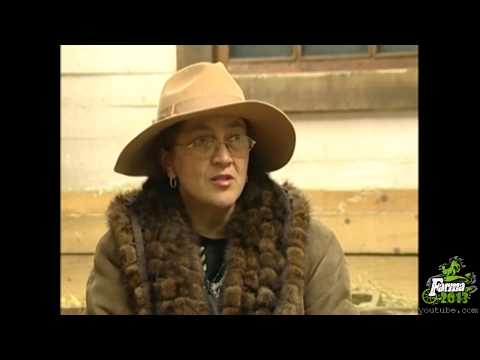 VIP FARMA 4 - Radojka: Ekrem je MAFIJAŠ