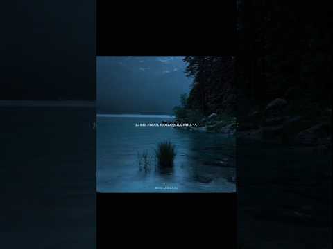 Reel tagged #lyrics