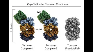 Newswise:Video Embedded researchers-take-first-ever-cryo-em-images-of-nitrogenase-in-action