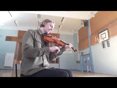 Hardingfele, Skinntrøya (hallingspringar)