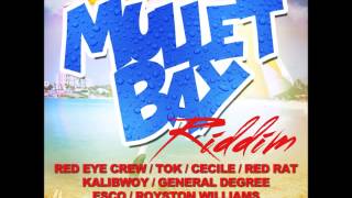 Mullet Bay riddim   FEB 2014  (DJ OUTKAST & FRAS TWINZ MUSIC)  mix by Djeasy
