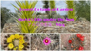 [Vlog] Desert Botanical Garden (砂漠植物園)
