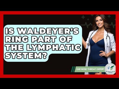 Is Waldeyer's Ring Part Of The Lymphatic System? - Ear Nose Throat Expert