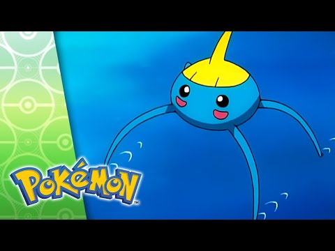 Maxxed Out! | POKÉMON FULL EPISODE 9 | Season 7