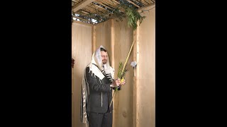 שיעור מרתק🟢 הרב רפאל זר | החתימה הסופית (הושענא רבא )   - שיעור חובה! |  ישיבת קרבנו פתח תקווה (הרב רפאל זר) - התמונה מוצגת ישירות מתוך אתר האינטרנט יוטיוב. זכויות היוצרים בתמונה שייכות ליוצרה. קישור קרדיט למקור התוכן נמצא בתוך דף הסרטון