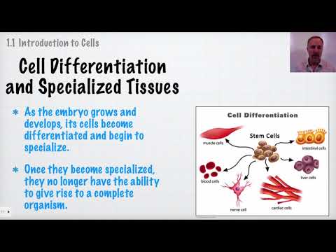 download lagu mp3 mp4 Ib Biology Sl, download lagu Ib Biology Sl gratis, unduh video klip Ib Biology Sl