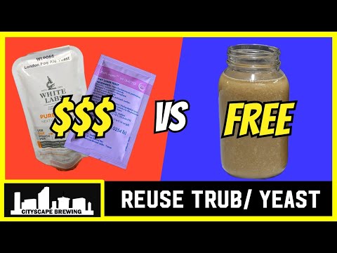 SAVE MONEY!  Reuse Trub/Yeast Batch to Batch.