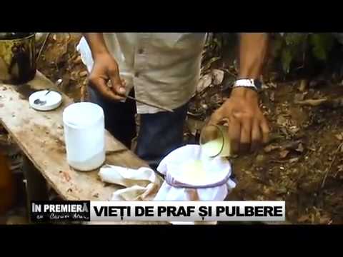 VIEŢI DE PRAF ŞI PULBERE