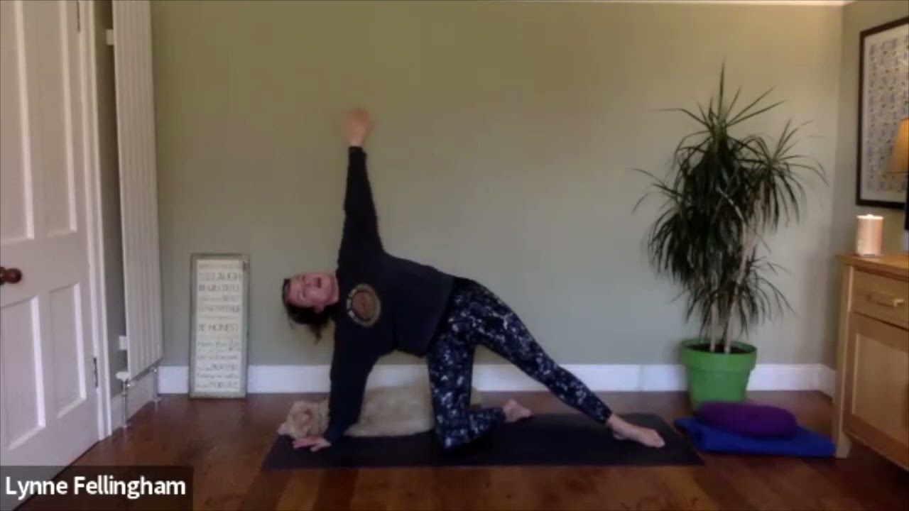 YinYasa, 14th Nov 2022, 11.30-12pm