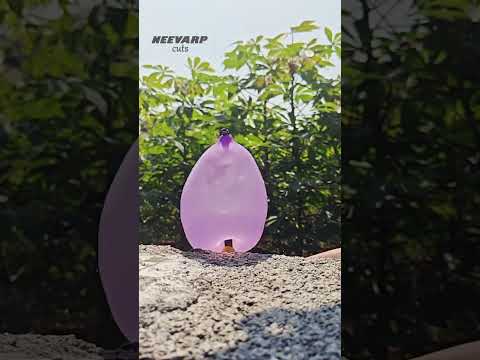 Water balloon drop splash slow motion!