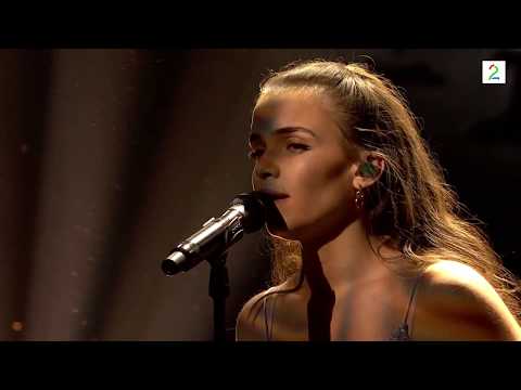 ARY -THE SEA- Gullruten 2017