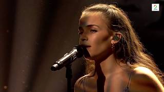 ARY -THE SEA- Gullruten 2017