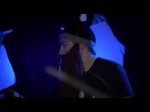 Robot Monkey - The Nordic Vagabond Party - Promo Video