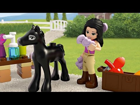 Vidéo LEGO Friends 41123 : Le toilettage du poulain