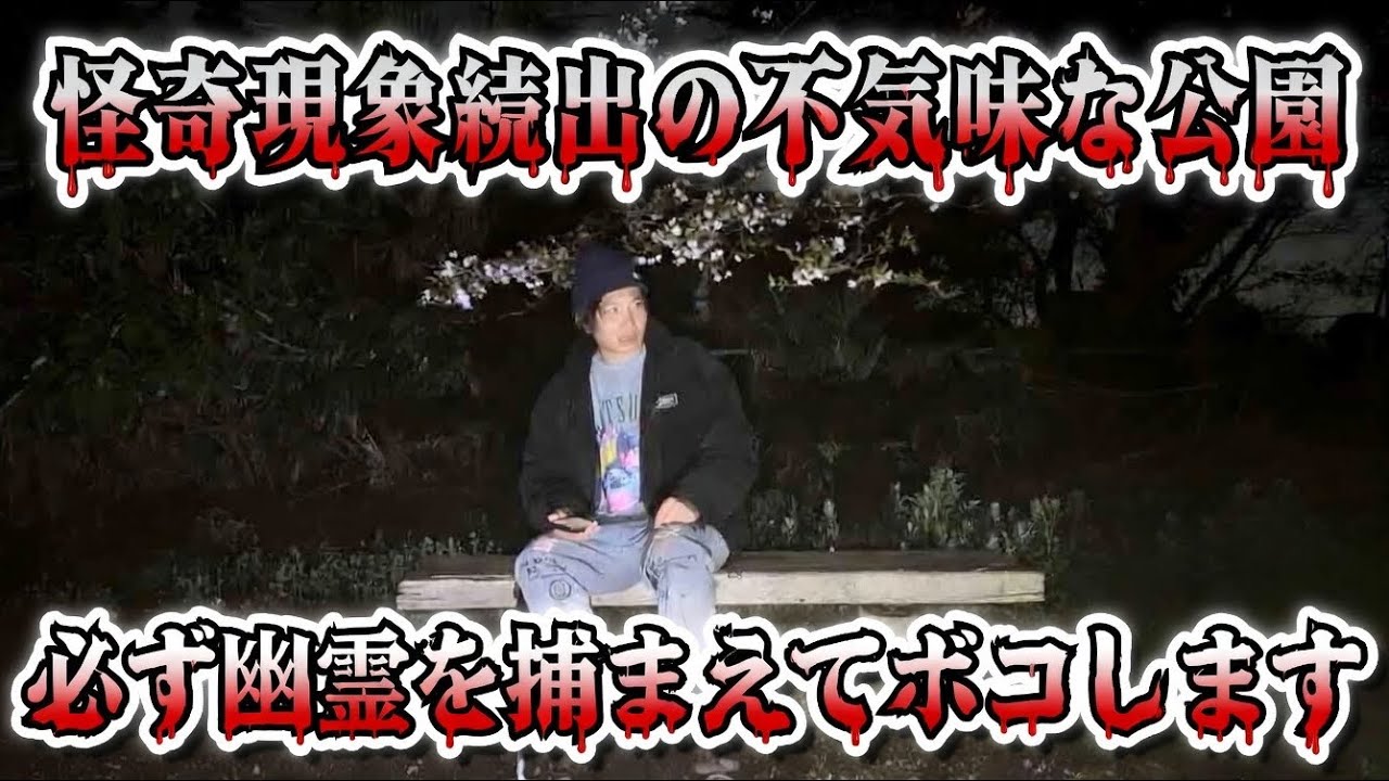 【心霊ロケ】この女の子探してます。公園に現れる幽霊