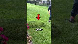 ¡NUNCA PISES UN CAMPO DE GOLF ASÍ! 😱
