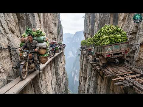Impossible Places | World’s Most Dangerous Roads That Terrify Every Driver | 4K Travel Documentary