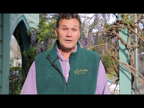 Clark Smith's Winemaking Fun-damentals Made Easy