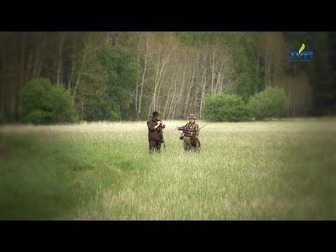 Darz Bór odc. 99 - Polowanie na Koziołka cz. 1