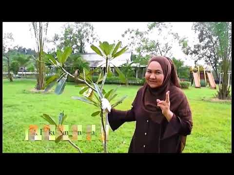 Tanda-tanda potensi yang baik pada pria Apakah telur yang berguna untuk potensi