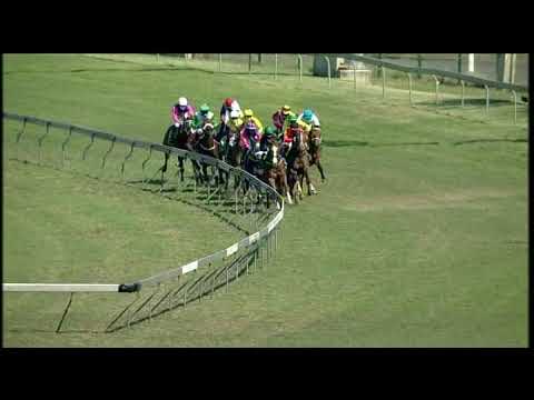 20200823 Hollywoodbets Greyville express clip Race 1 won by DEEP THOUGHT