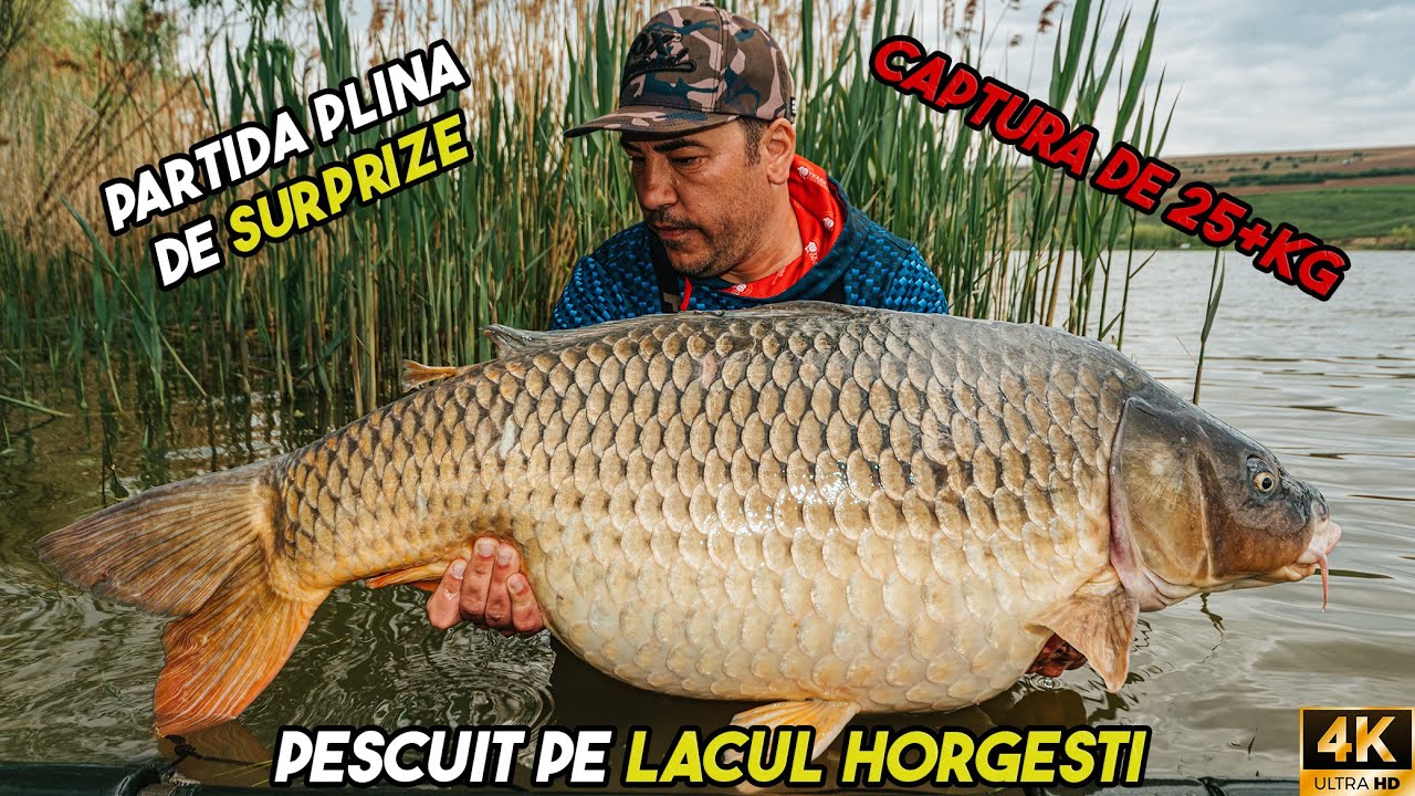 Pescuit Plin de Surprize pe Lacul Horgesti (Captura 25+ KG!!!)