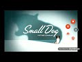 DLC Small Dog Picture Company Horizon Universal Television ABC Studios 2020