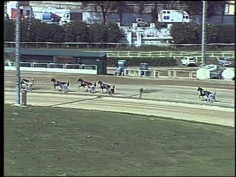 Trotto 13/09/2015 - 1° prova di qualifica