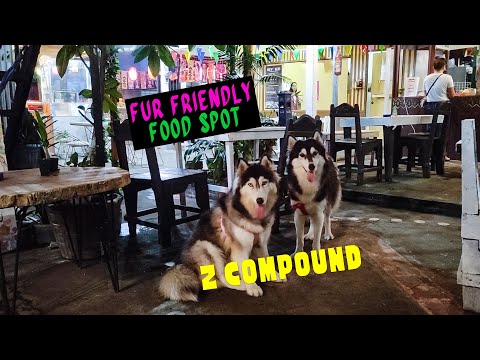 Fur Friendly Food Spot - Z Compound