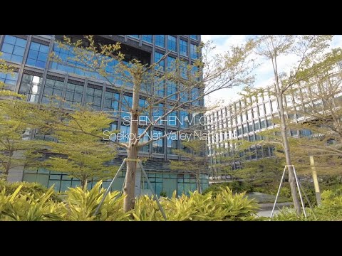 ShenzhenVlog｜Shekou Net Valley, Nanshan｜ Shekou Net Valley, distrito de Nanshan, cidade de Shenzhen