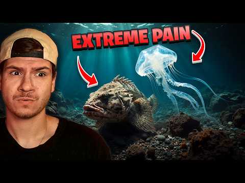 What Is The Most Painful Venom???