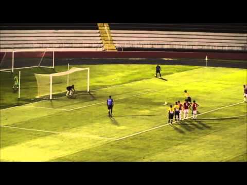 Copa Paulista 2014 - Botafogo 2x0 São Bernardo