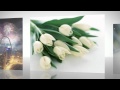 поздравления с днем защитника отечества 