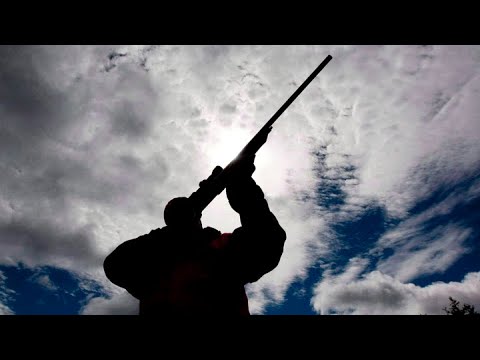 LILLEY UNLEASHED Trudeau government withdraws amendment to Bill C 21