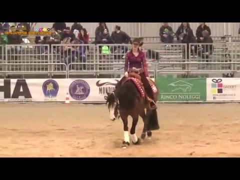 GINA SCHUMACHER  GOTTA NIFTY GUN