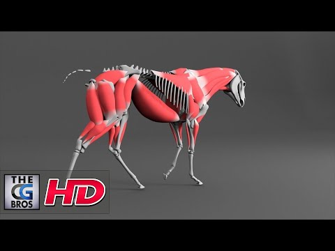 CGI & VFX Breakdowns: "CG Horse: Making Of" - by Amelia Paker